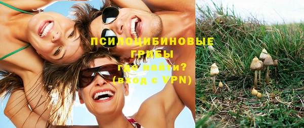 метадон Арсеньев